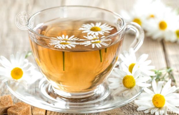 Cách pha trà hoa cúc giảm cân